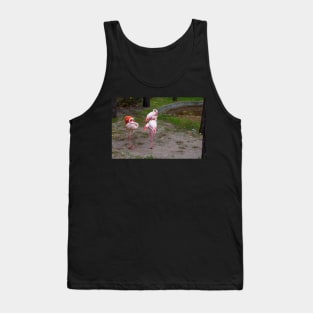 Pink and red flamingo Tank Top